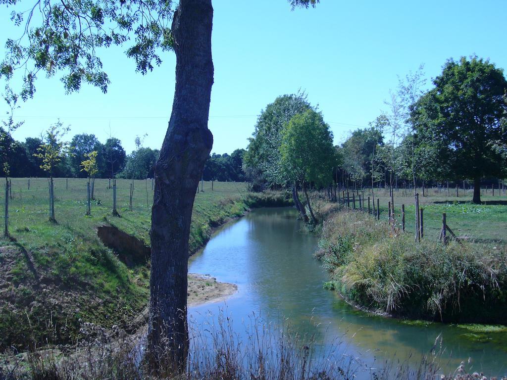 Ferme De Dauval Bed & Breakfast Mandeville-en-Bessin Exterior photo